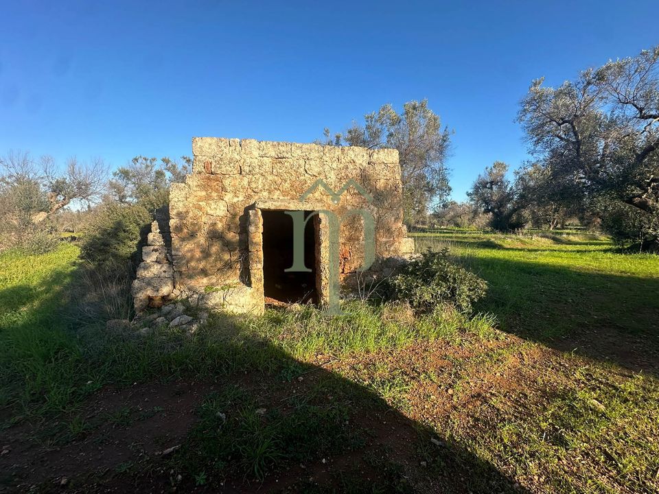 Helårsgrund i Carovigno, Brindisi - foto 5